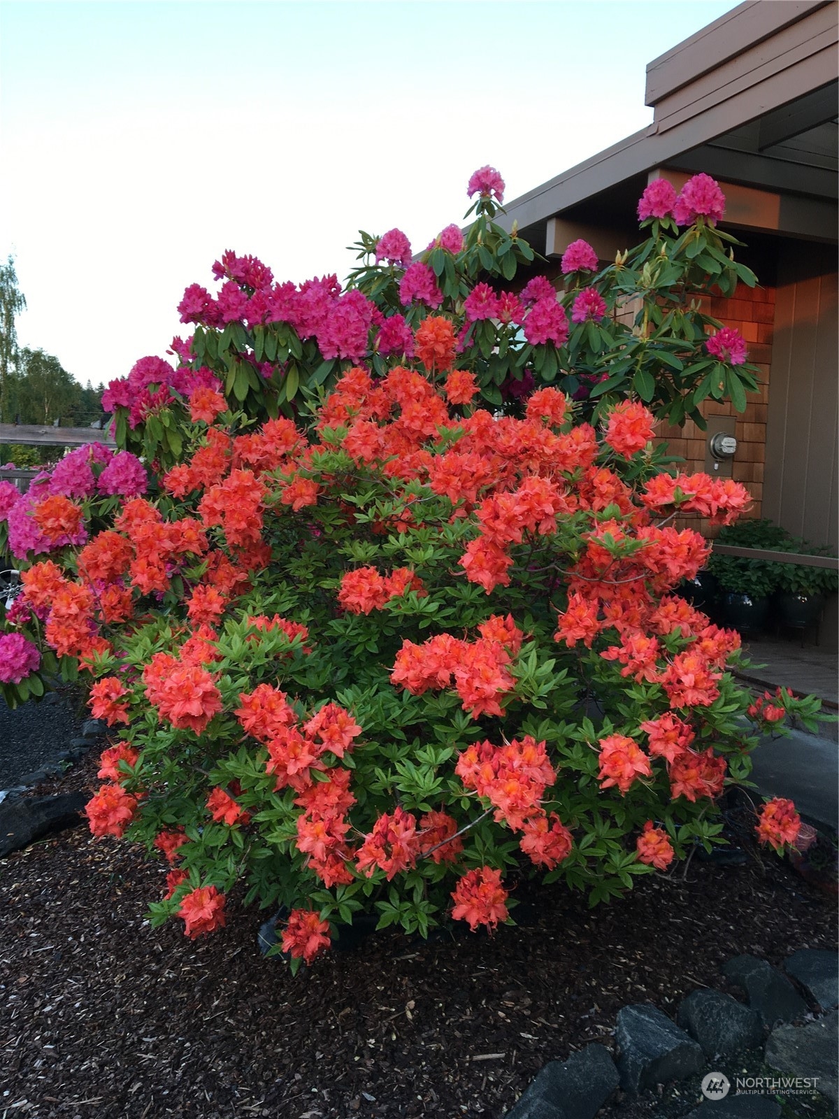 405 Eunice Street Sequim, WA 98382 - Photo 27 of 40