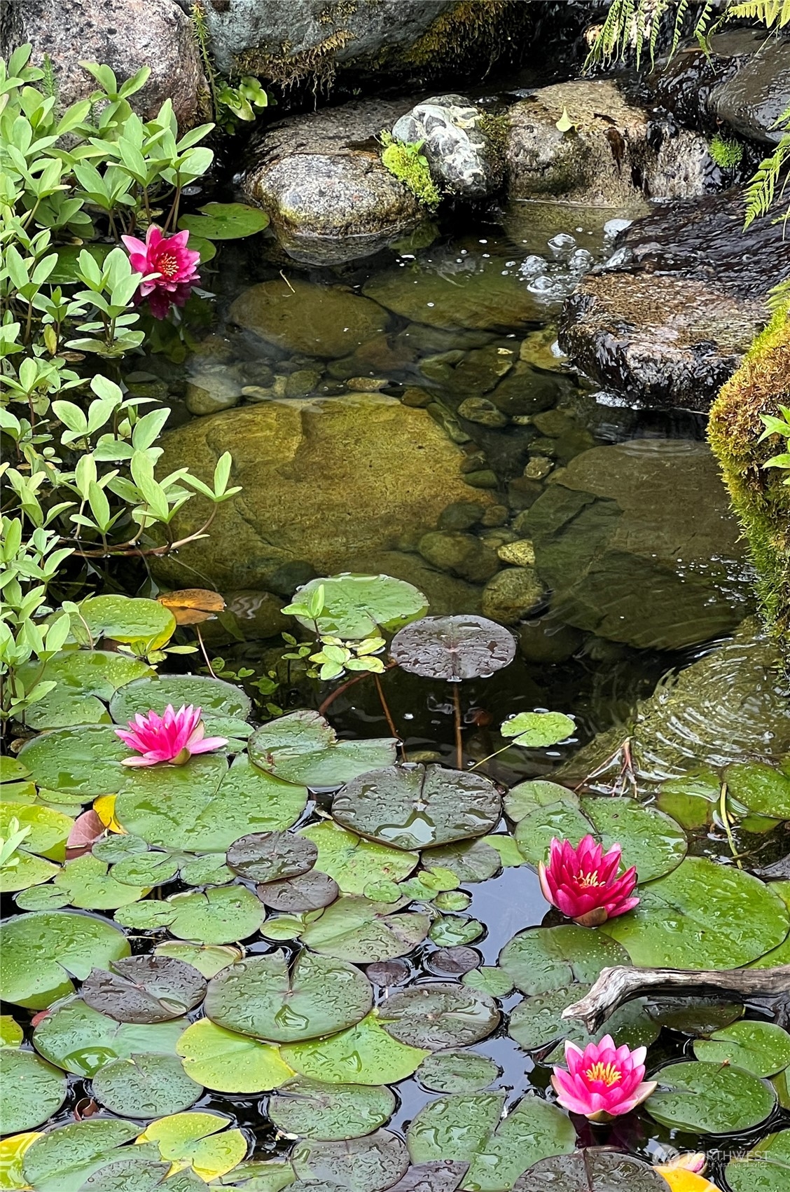 405 Eunice Street Sequim, WA 98382 - Photo 32 of 40