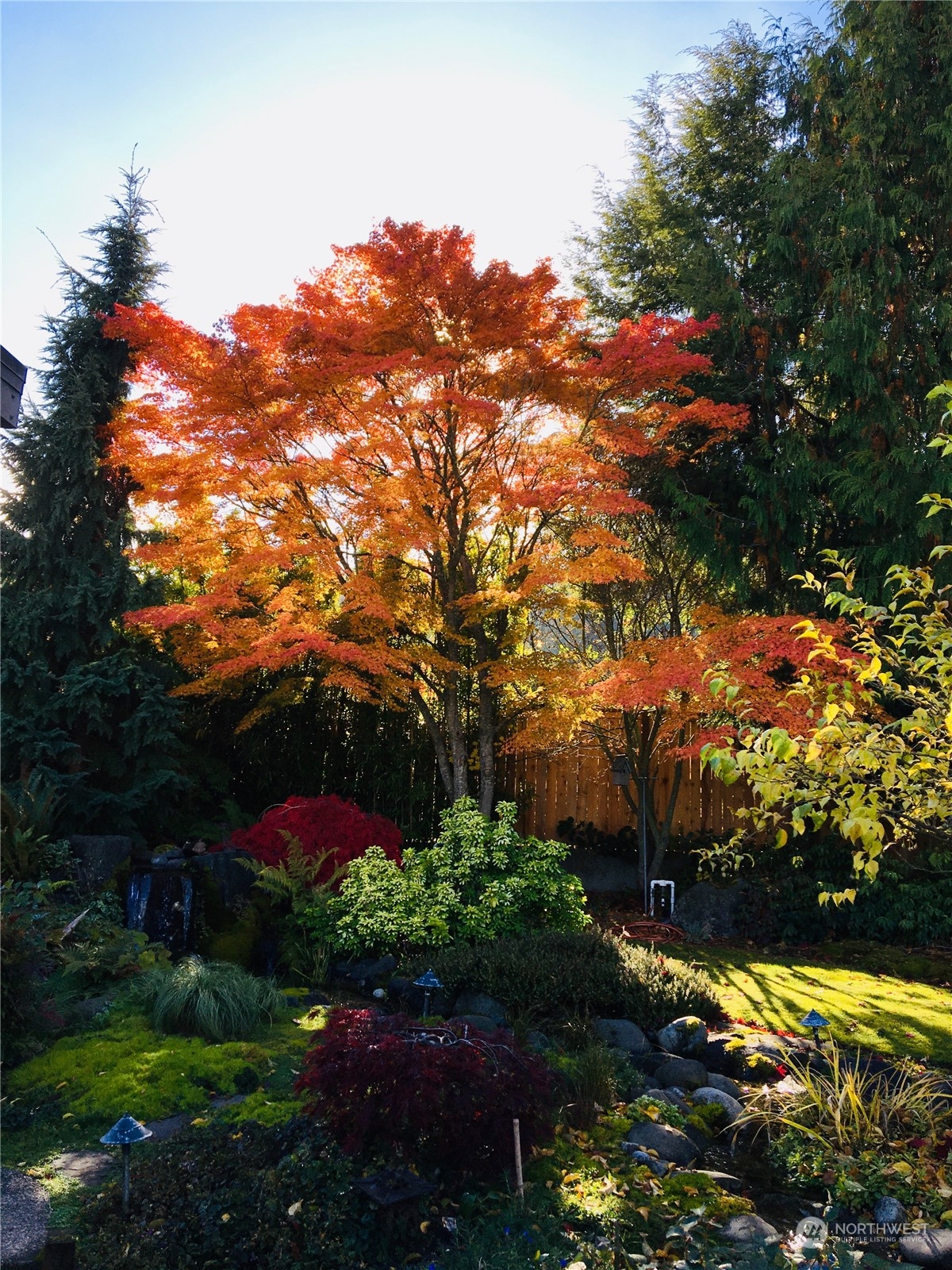 405 Eunice Street Sequim, WA 98382 - Photo 4 of 40