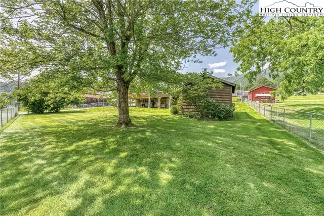 a view of a big yard with plants and large trees