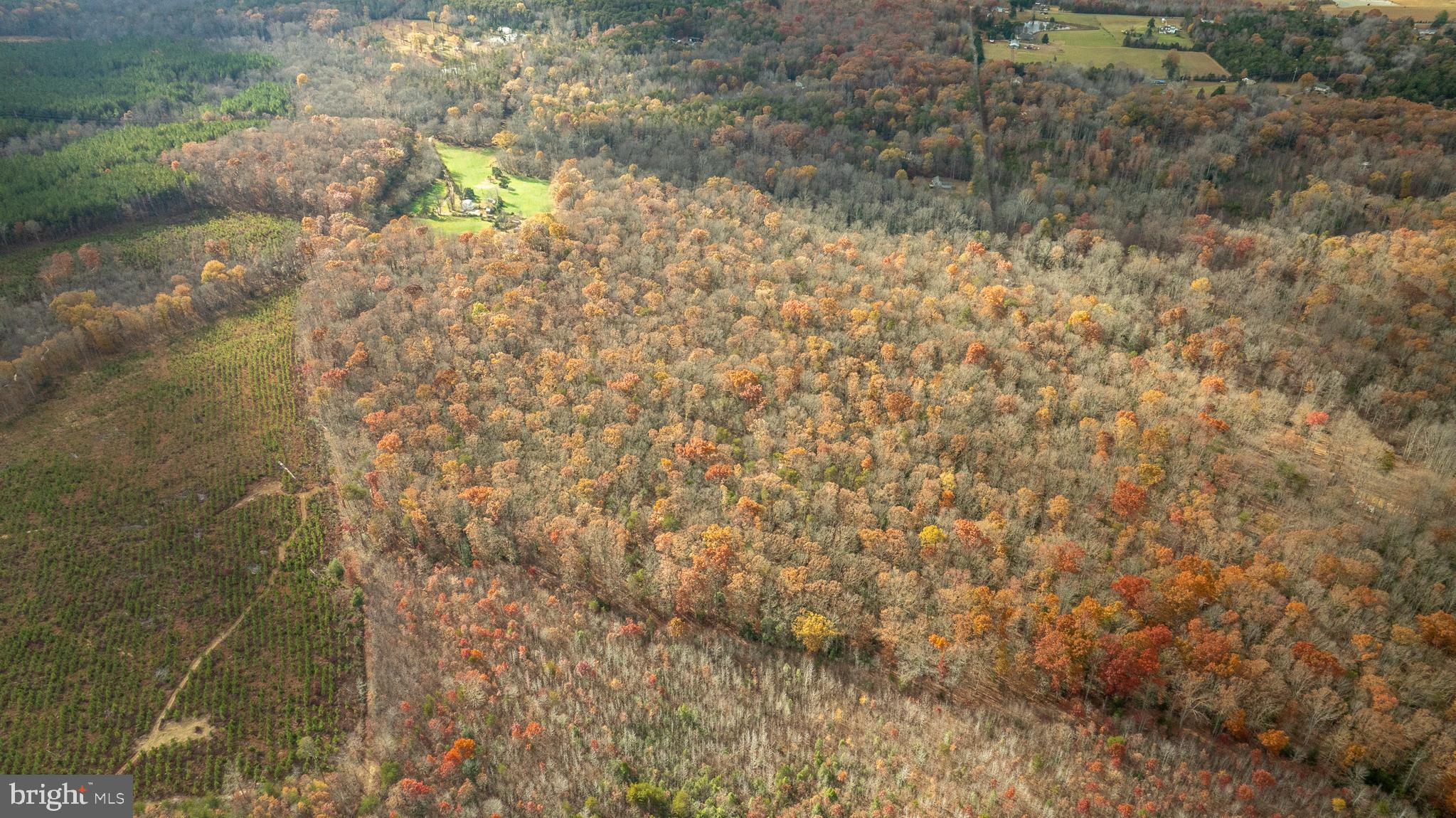 14100 Cedar Plantation Road Spotsylvania, VA 22551 - Photo 11 of 20 a close up of a wall