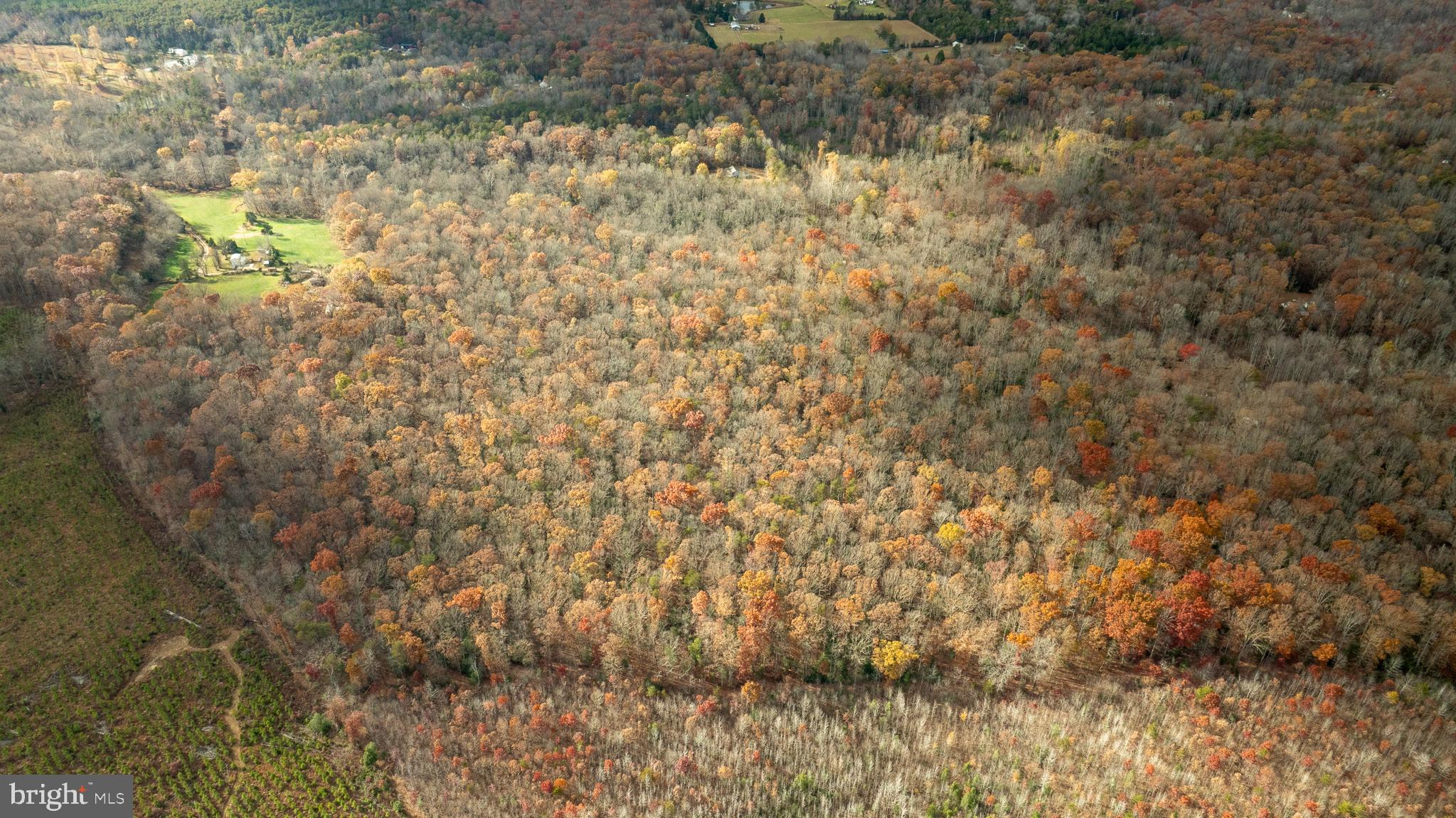 14100 Cedar Plantation Road Spotsylvania, VA 22551 - Photo 12 of 20