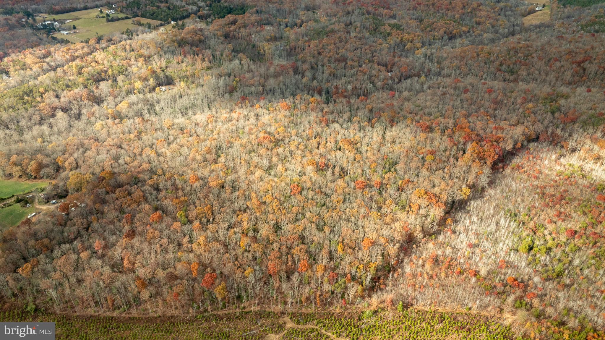 14100 Cedar Plantation Road Spotsylvania, VA 22551 - Photo 15 of 20 a view of a dry yard