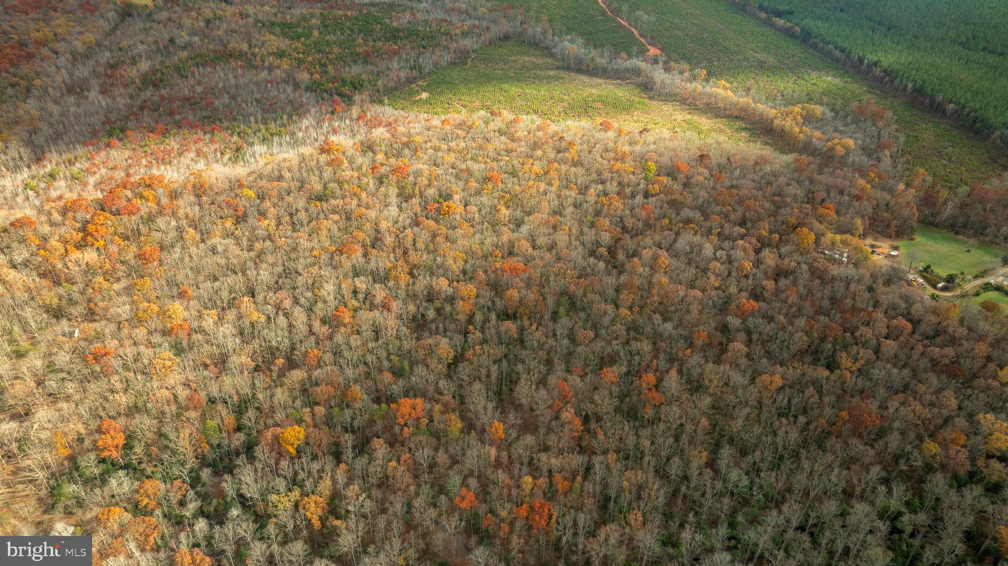 14100 Cedar Plantation Road Spotsylvania, VA 22551 - Photo 16 of 20 a view of yard from a window