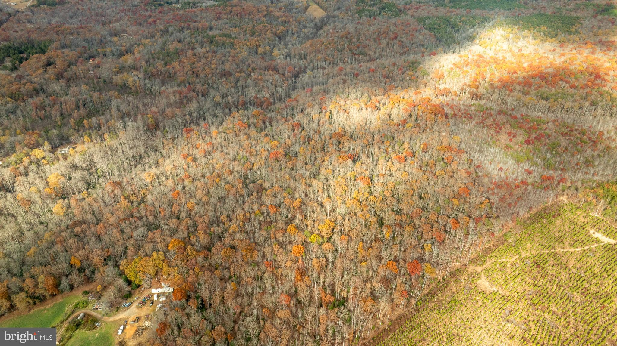 14100 Cedar Plantation Road Spotsylvania, VA 22551 - Photo 18 of 20