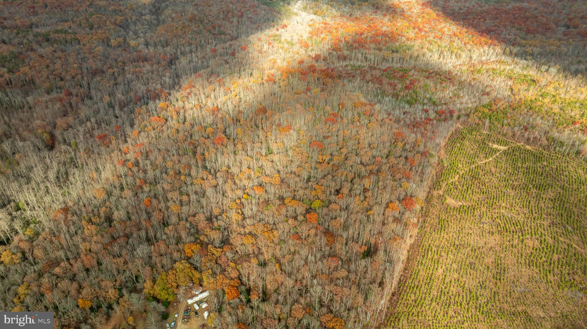 14100 Cedar Plantation Road Spotsylvania, VA 22551 - Photo 20 of 20