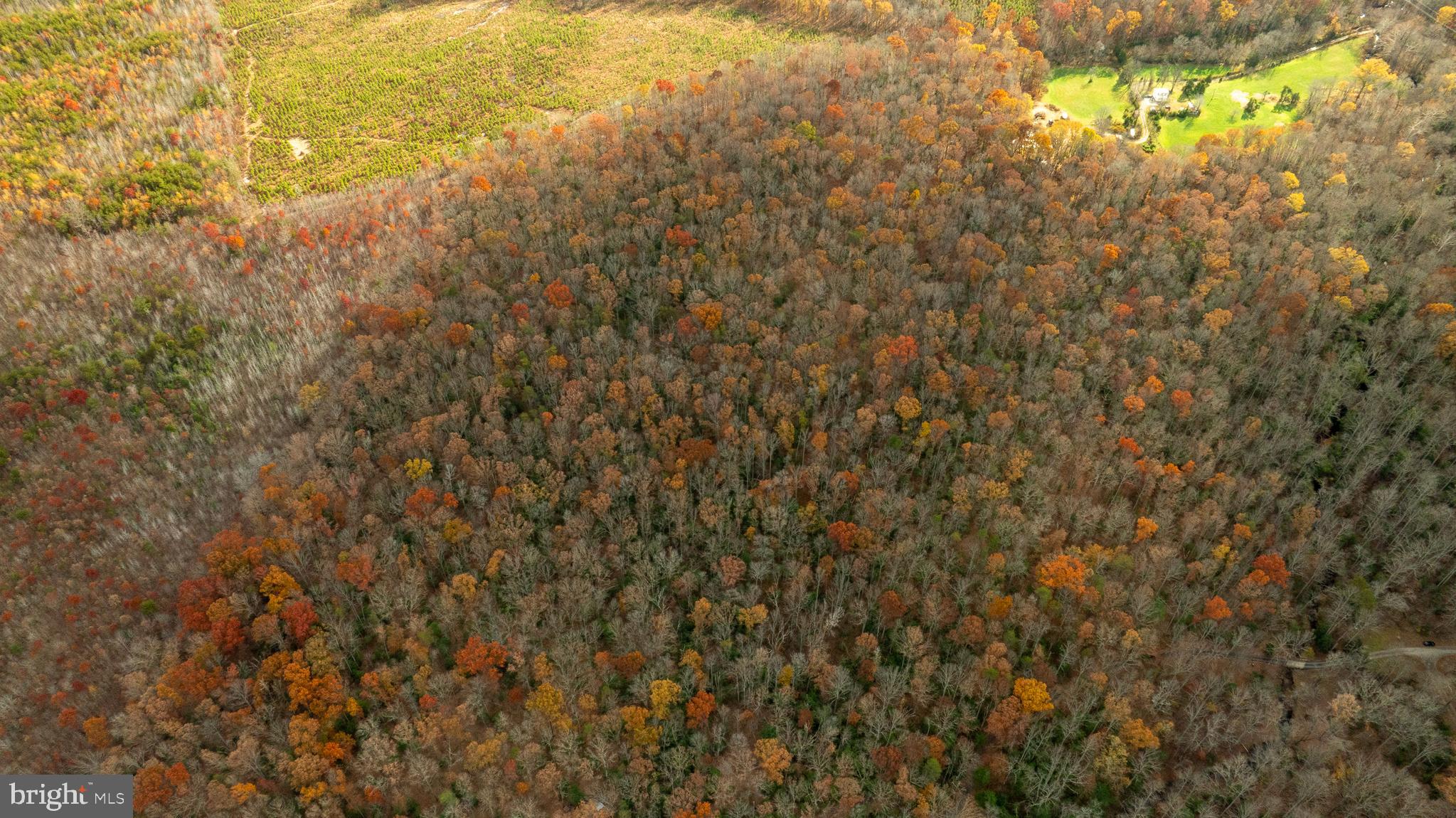 14100 Cedar Plantation Road Spotsylvania, VA 22551 - Photo 2 of 20 a view of a field of grass and trees