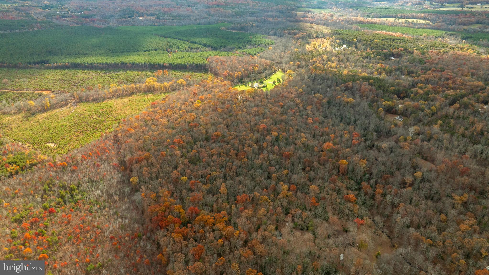 14100 Cedar Plantation Road Spotsylvania, VA 22551 - Photo 5 of 20 a view of a lake view
