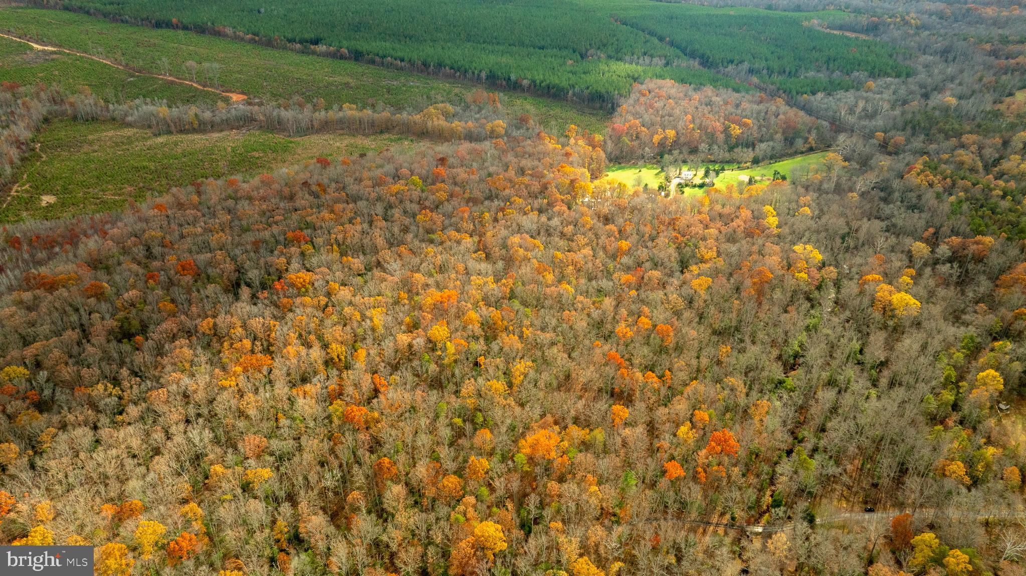 14100 Cedar Plantation Road Spotsylvania, VA 22551 - Photo 6 of 20 a view of a yard with a tree