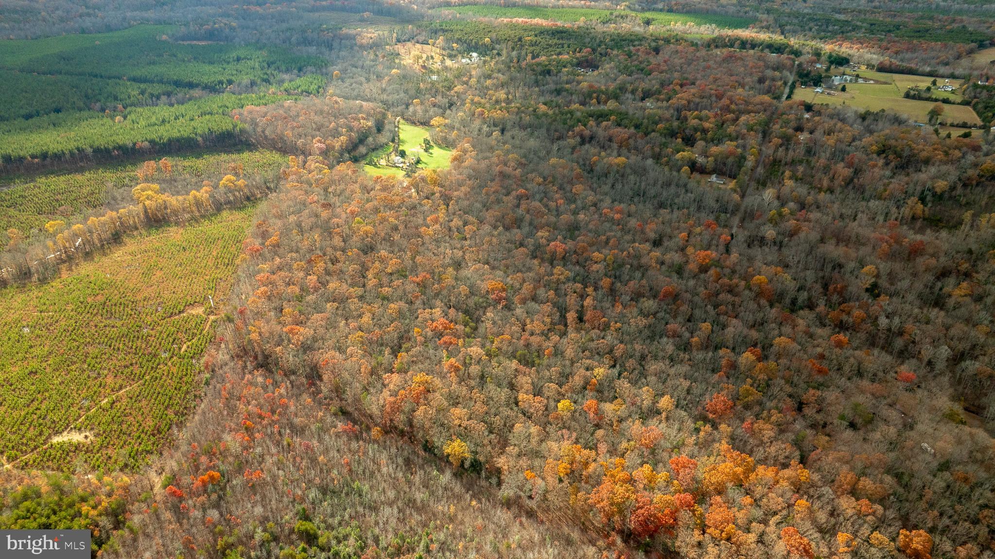 14100 Cedar Plantation Road Spotsylvania, VA 22551 - Photo 7 of 20 a close up of a tree