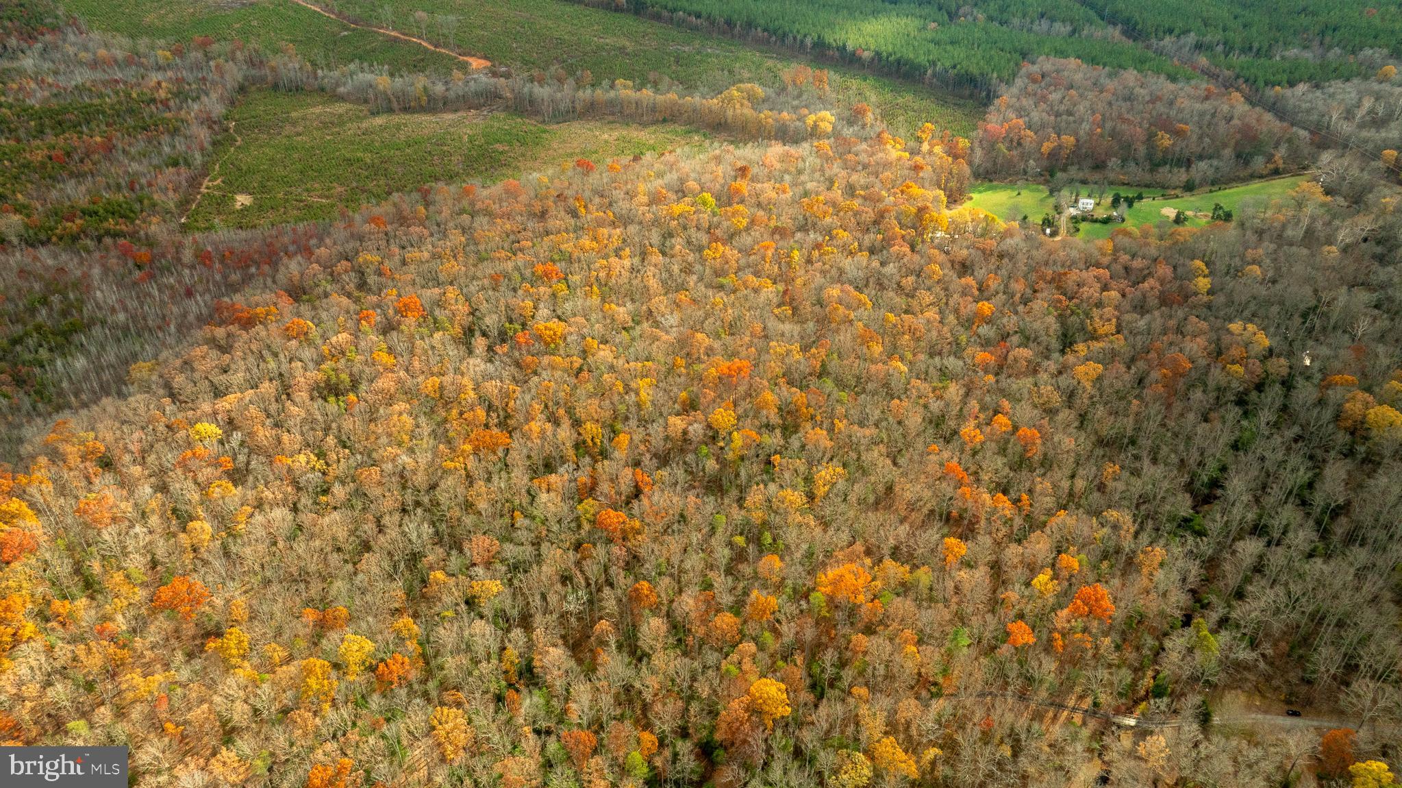 14100 Cedar Plantation Road Spotsylvania, VA 22551 - Photo 10 of 20 a view of a yard