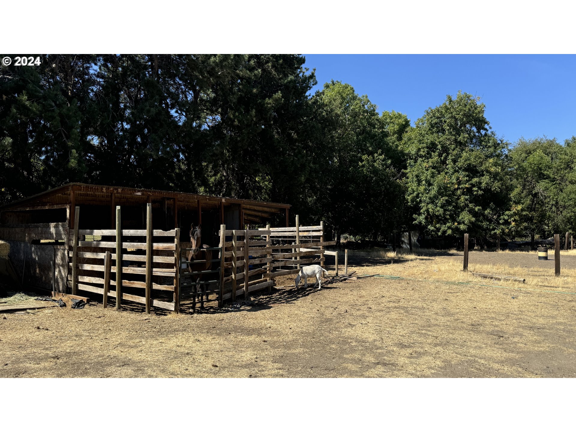 West Irvine Street The Dalles, OR 97058 - Photo 4 of 13