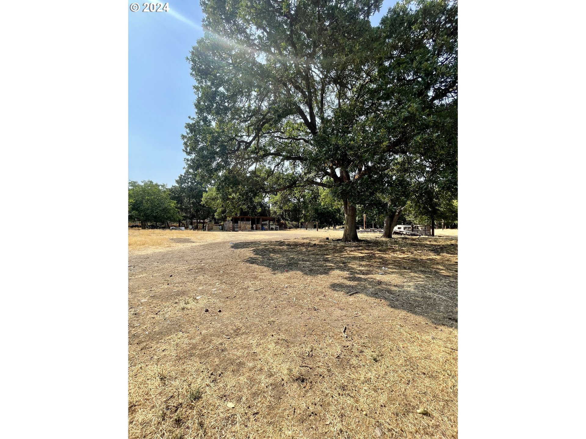 West Irvine Street The Dalles, OR 97058 - Photo 7 of 13