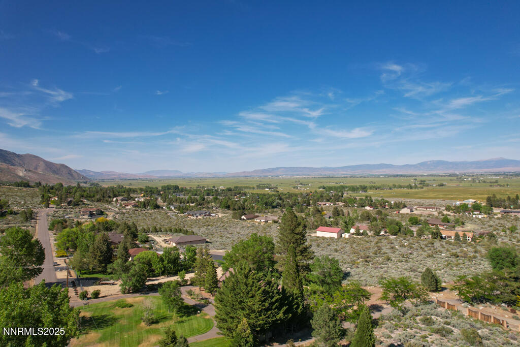 1147 Autumn Hills Road Gardnerville, NV 89460 - Photo 46 of 53 a view of city and mountain