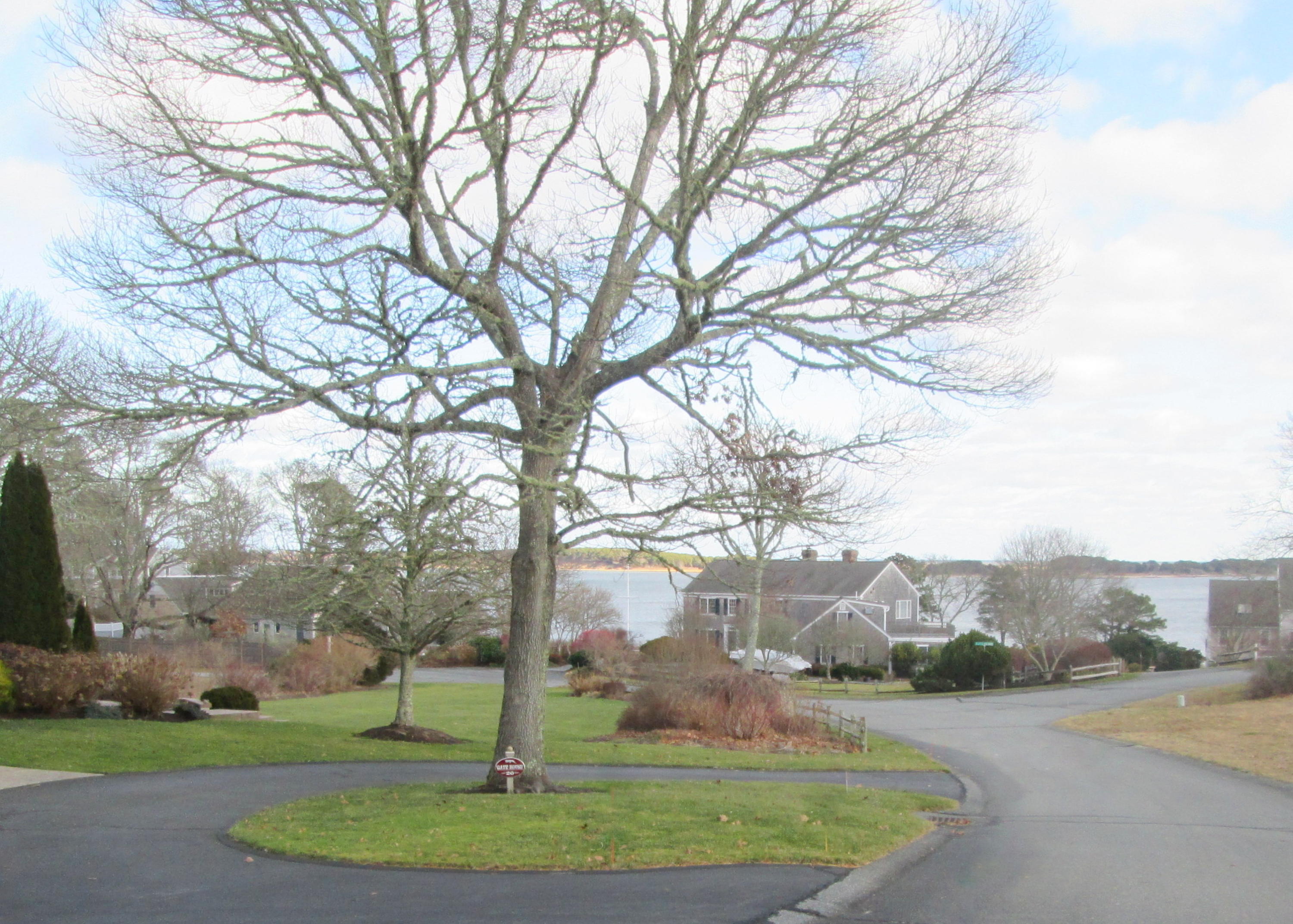 3 Little Bay Road Orleans, MA 02653 - Photo 2 of 24 Cul de sac to Dock