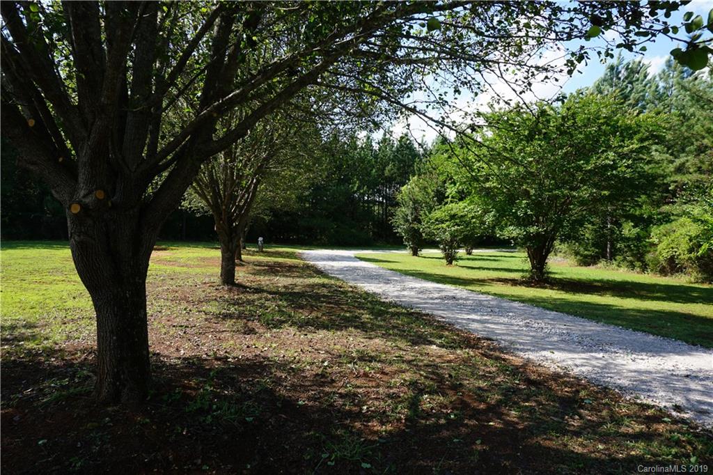 2390 Gill Jordan Road Chester, SC 29706 - Photo 41 of 44 a view of a yard with a tree