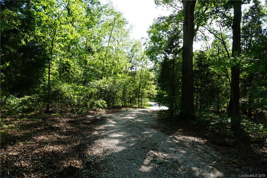 2390 Gill Jordan Road Chester, SC 29706 - Photo 44 of 44 a view of outdoor space and trees