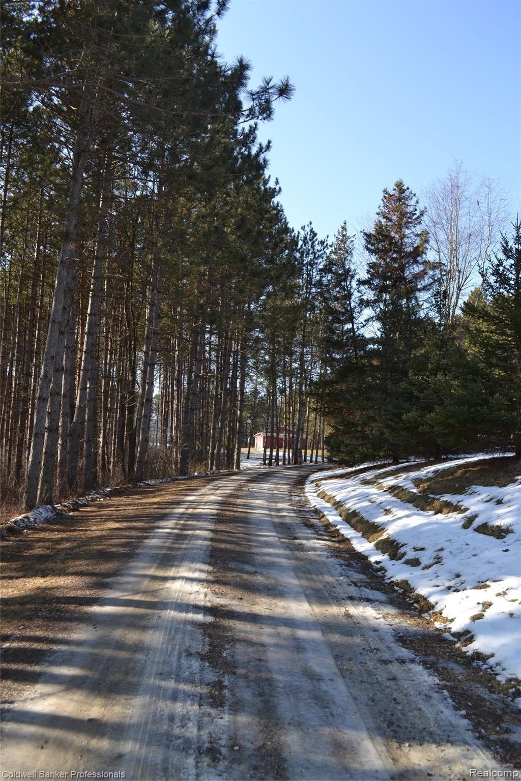 1241 North Summers Road Imlay City, MI 48444 - Photo 3 of 46 DSC_0723.JPG