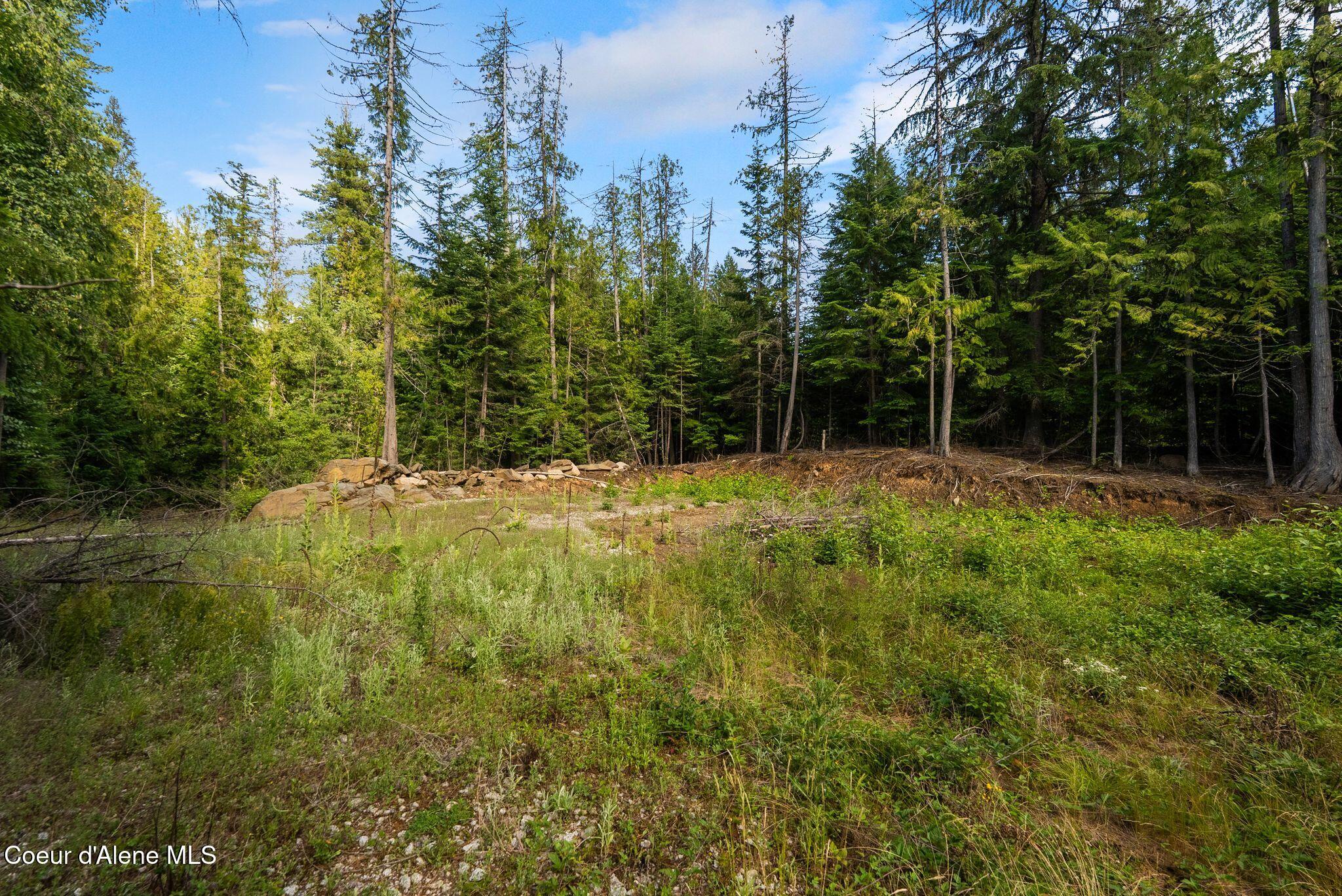 9782 Bottle Bay Road Sagle, ID 83860 - Photo 4 of 12 4_KFM07852