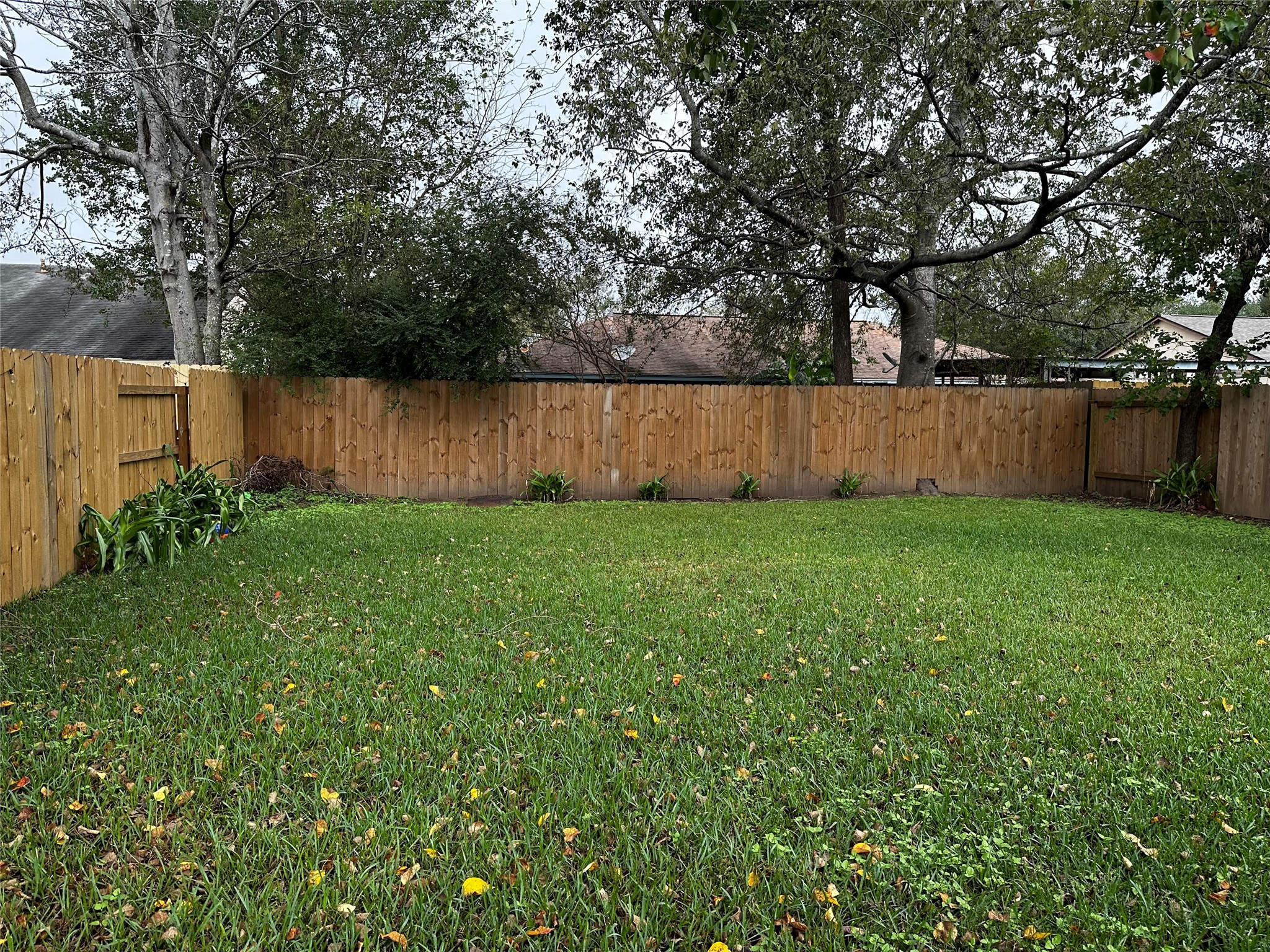 2351 Spring Dusk Drive Spring, TX 77373 - Photo 10 of 10