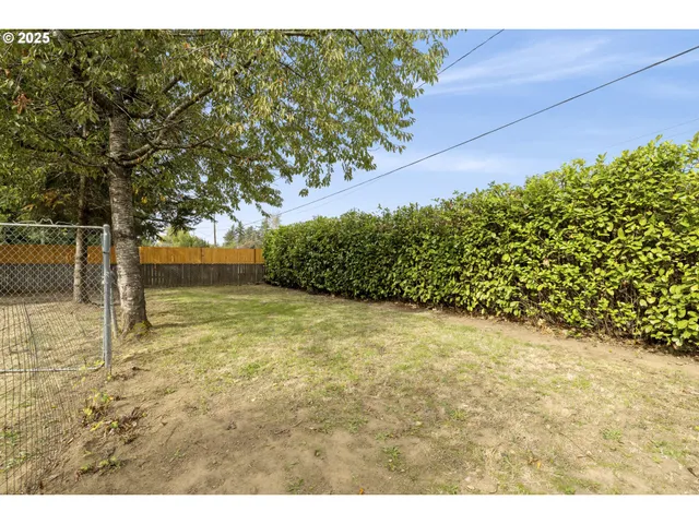 a house with a tree in front of it