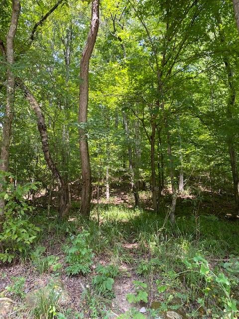 6.06 Mullins Cove Road Whitwell, TN 37397 - Photo 1 of 9 Chad Butts 2