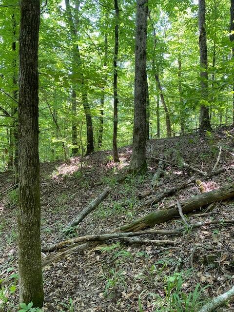 6.06 Mullins Cove Road Whitwell, TN 37397 - Photo 4 of 9 Chad Butts 3