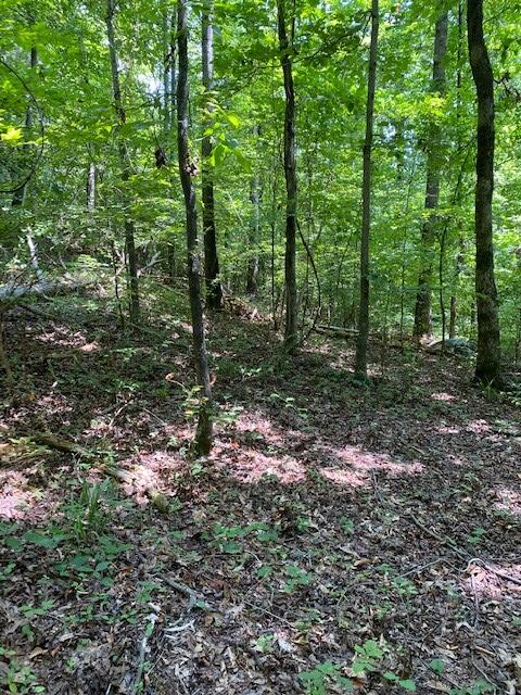 6.06 Mullins Cove Road Whitwell, TN 37397 - Photo 5 of 9 Chad Butts 4