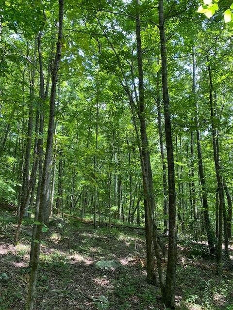 6.06 Mullins Cove Road Whitwell, TN 37397 - Photo 8 of 9 Chad Butts 7