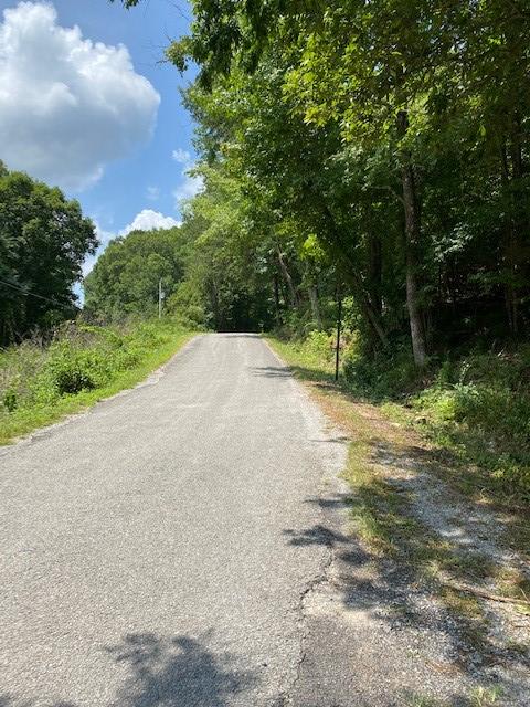 6.06 Mullins Cove Road Whitwell, TN 37397 - Photo 9 of 9 Chad Butts 1