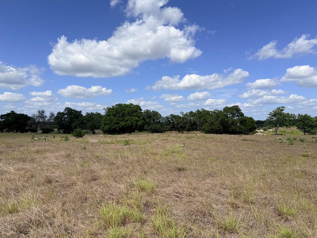 485 Inspiration Loop, Unit 103 Comfort, TX 78013 - Photo 6 of 23 Gallery Image 6