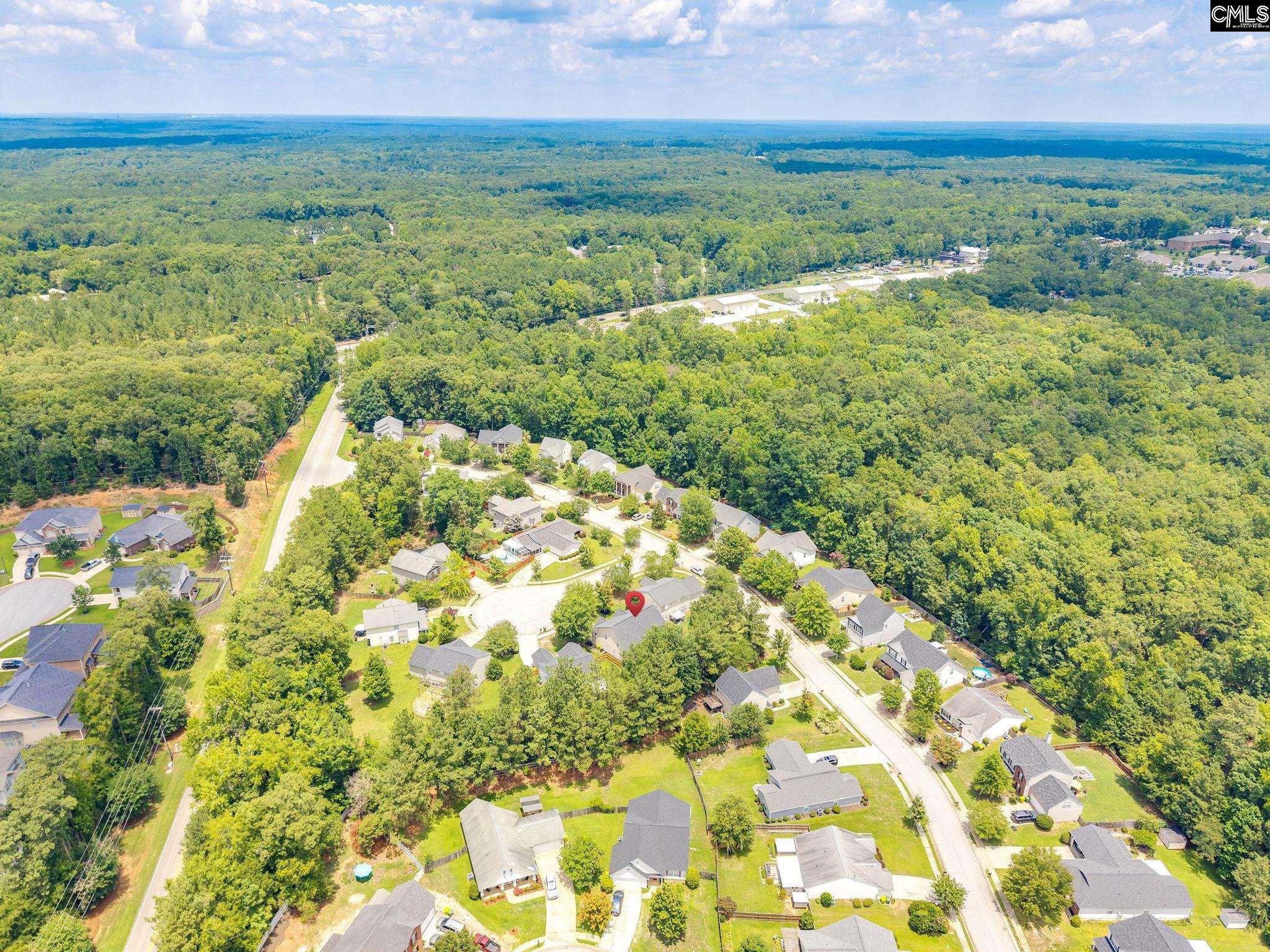 5 Redbrush Court Chapin, SC 29036 - Photo 59 of 62