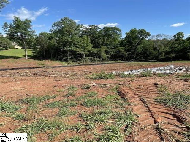 Undisclosed Address Inman, SC 29349 - Photo 2 of 4