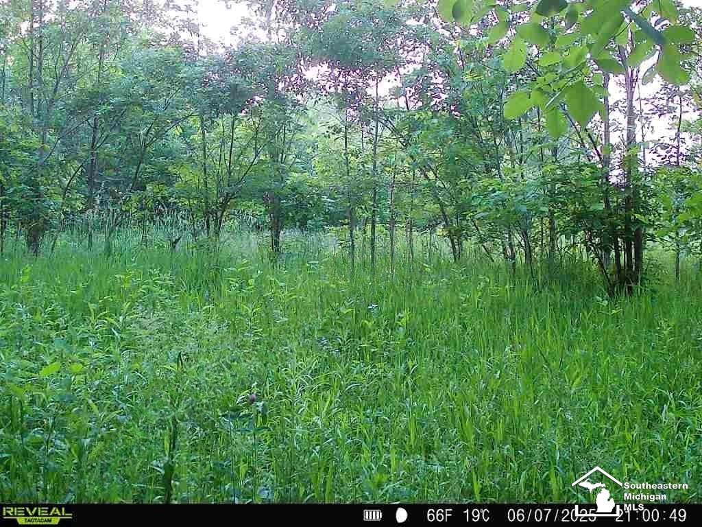 5901 Milan-Oakville Road Milan, MI 48160 - Photo 2 of 3