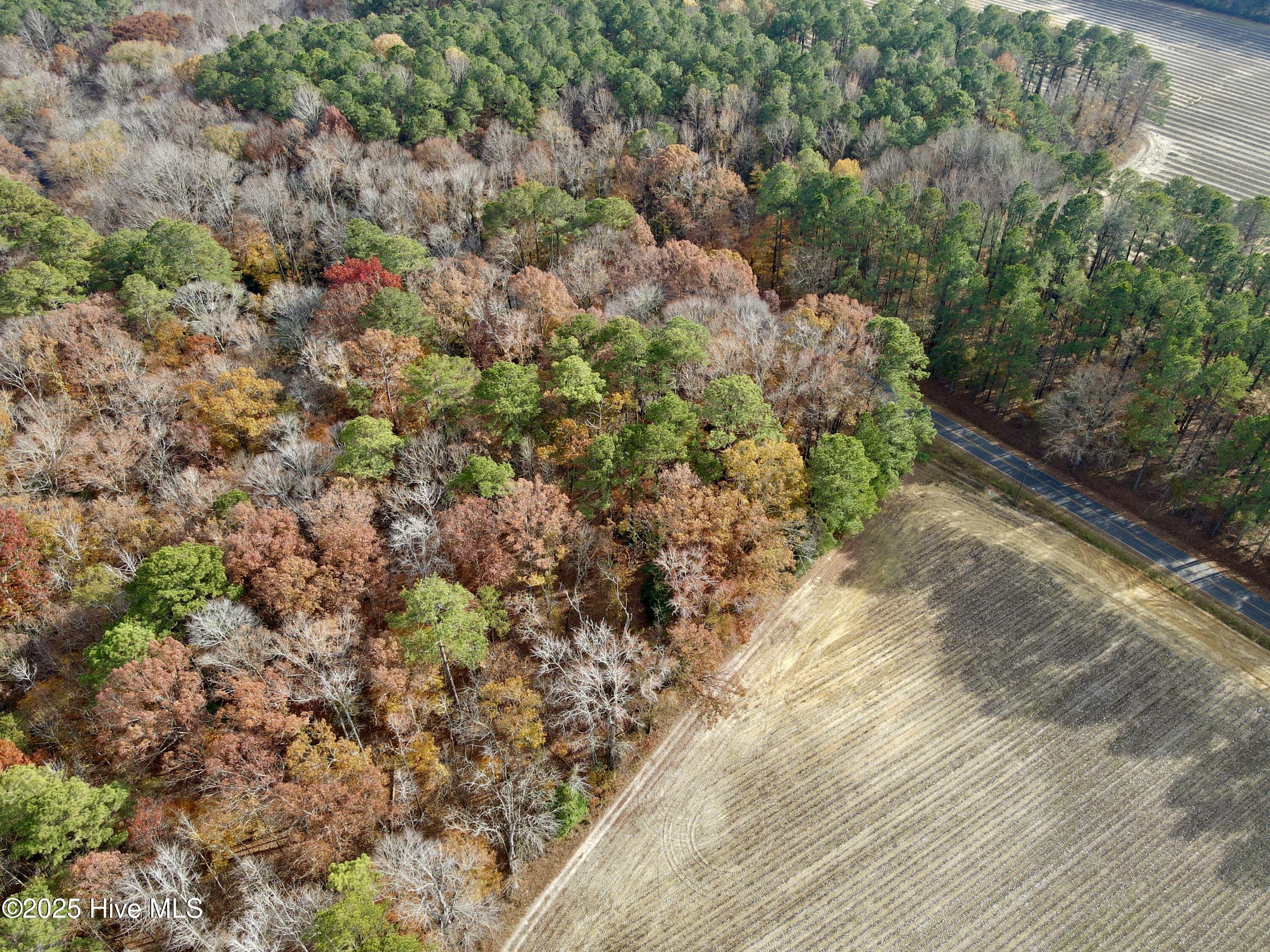 0 Williams Road Williamston, NC 27892 - Photo 6 of 16 Aerial Back to front View