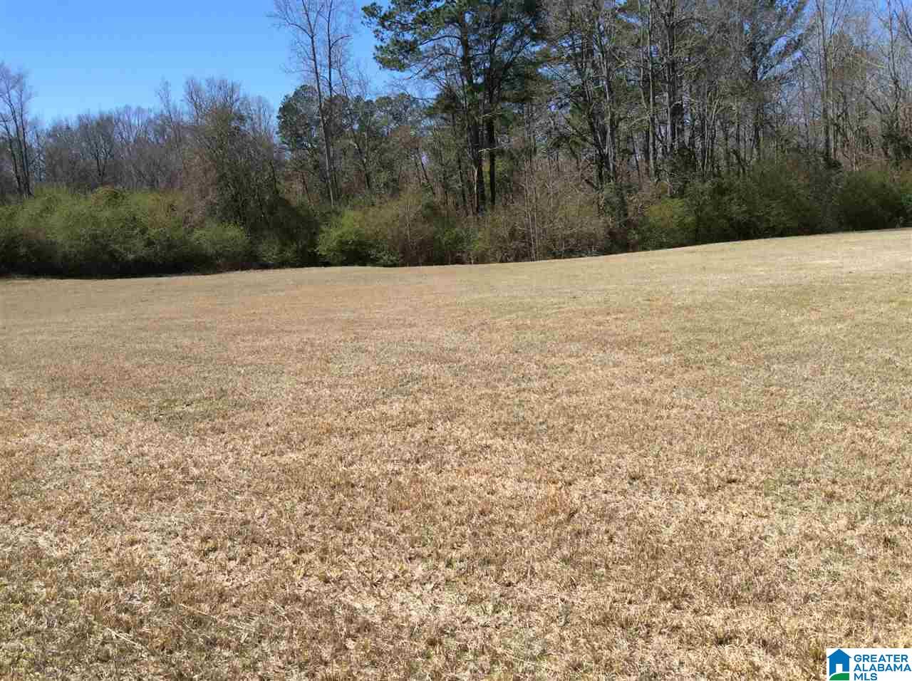 0 Coats Bend Road, Unit 1 Gadsden, AL 35901 - Photo 11 of 20