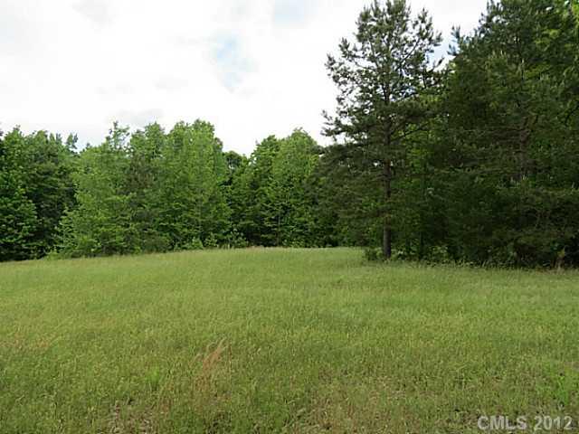 8-ac Pinckney Road Chester, SC 29706 - Photo 4 of 16 Gallery Image 4
