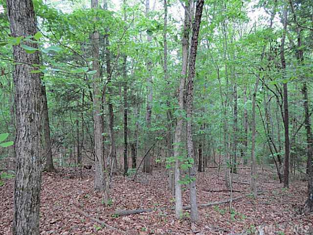 8-ac Pinckney Road Chester, SC 29706 - Photo 8 of 16 Gallery Image 8