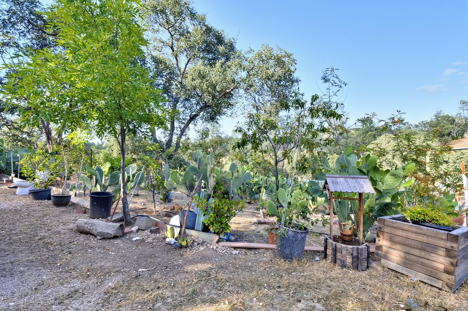 5263 Chile Camp Road Campo Seco X, CA 95226 - Photo 19 of 24 a view of a table and chairs in backyard