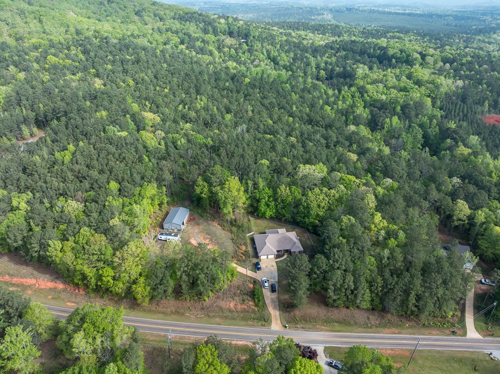 2083 Johnson Mill Road Hamilton, GA 31811 - Photo 46 of 54 an aerial view of a house with a yard