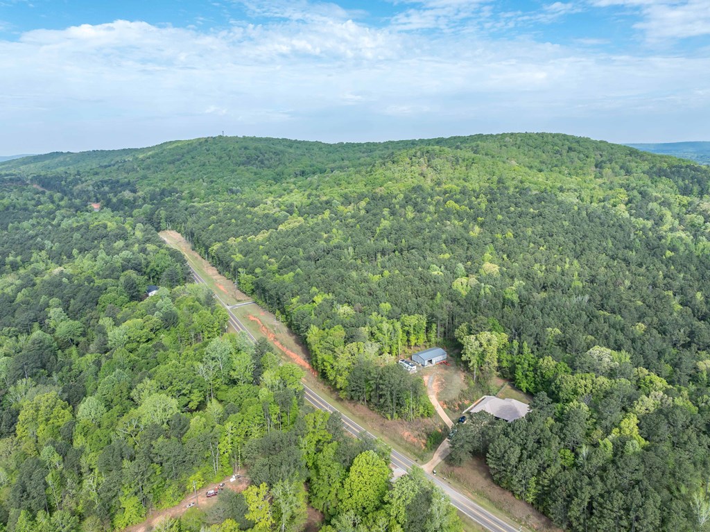 2083 Johnson Mill Road Hamilton, GA 31811 - Photo 48 of 54 a view of a green field with lots of bushes