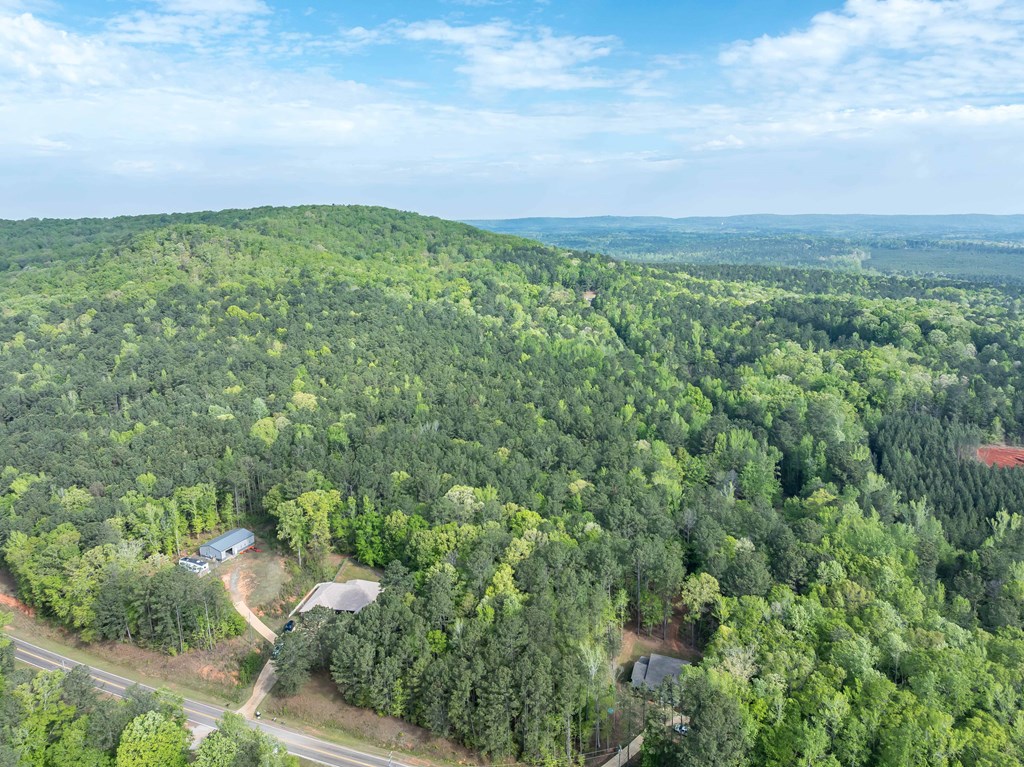 2083 Johnson Mill Road Hamilton, GA 31811 - Photo 49 of 54 an aerial view of residential houses with outdoor space and trees