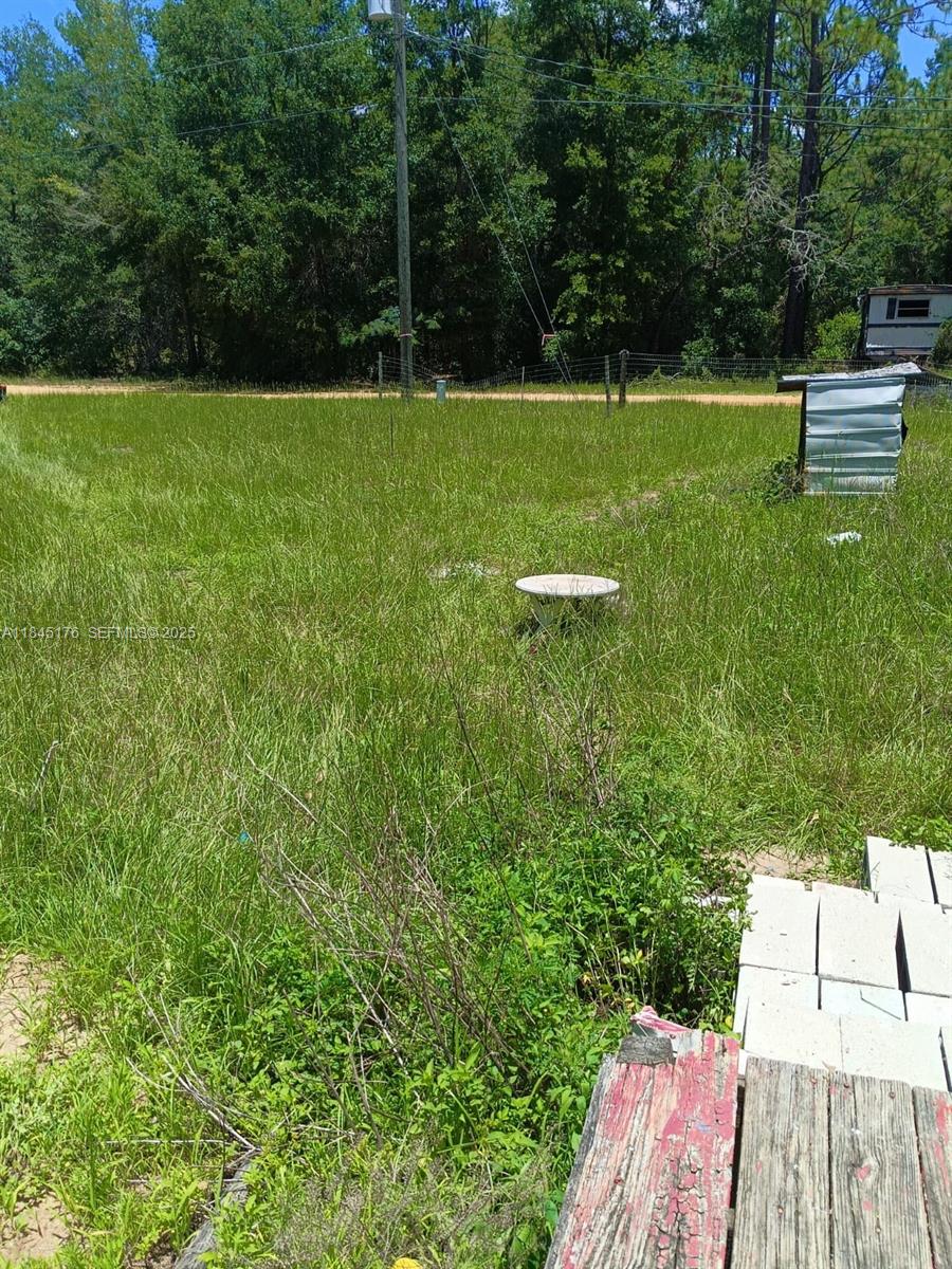 147 2nd Way Interlachen, FL 32148 - Photo 25 of 28 a view of a backyard