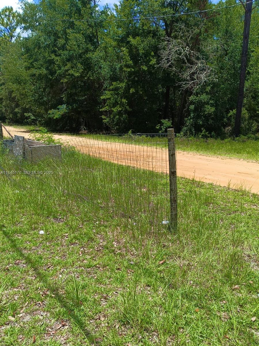 147 2nd Way Interlachen, FL 32148 - Photo 28 of 28 a view of yard with green space