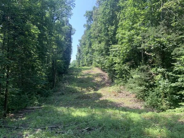 $597,000 | 0 Smith Chapel Drive, Shelbyville, TN 37160
