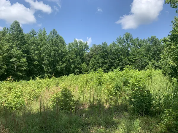 $597,000 | 0 Smith Chapel Drive, Shelbyville, TN 37160