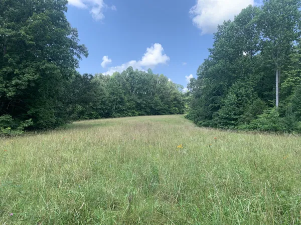 $597,000 | 0 Smith Chapel Drive, Shelbyville, TN 37160