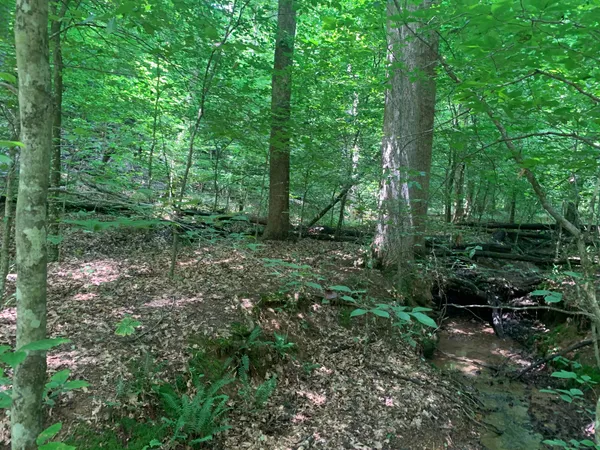 $597,000 | 0 Smith Chapel Drive, Shelbyville, TN 37160