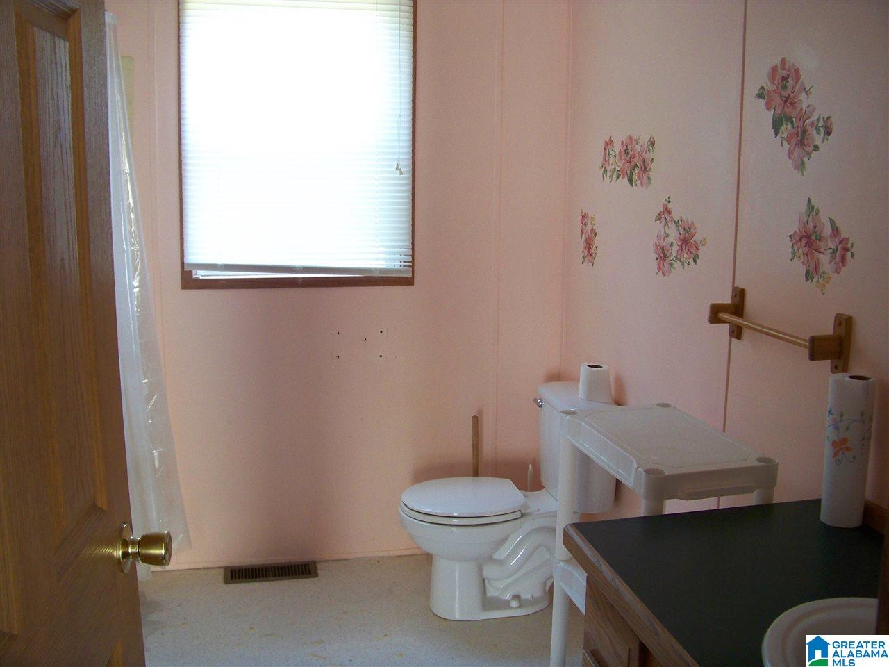 558 Hills Chapel Road Falkville, AL 35622 - Photo 9 of 17