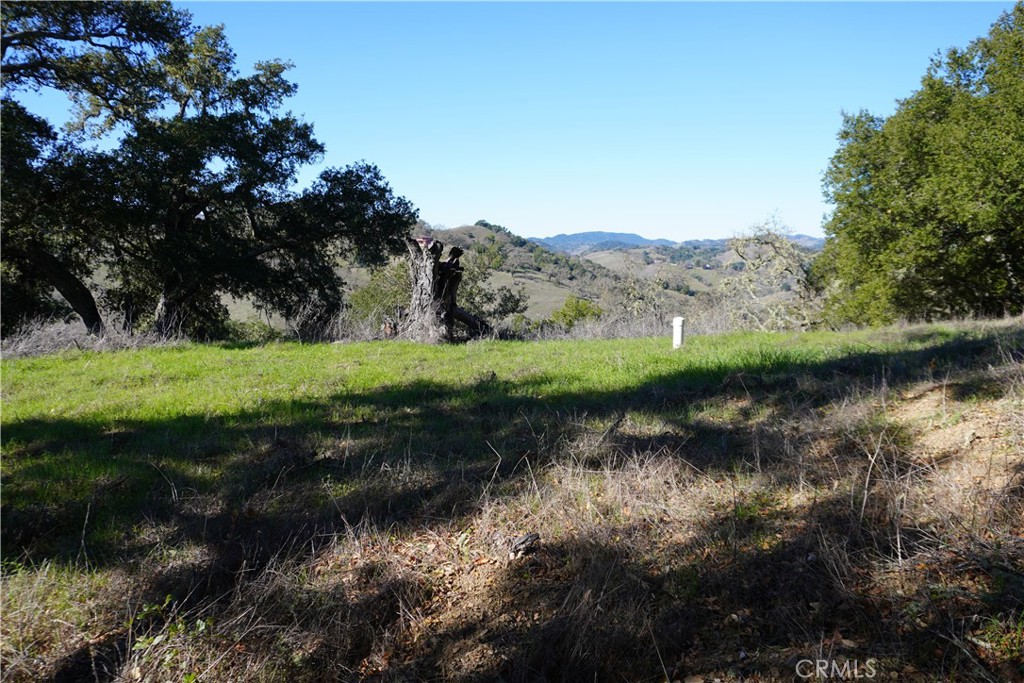 0 El Monte Road Templeton, CA 93465 - Photo 5 of 11